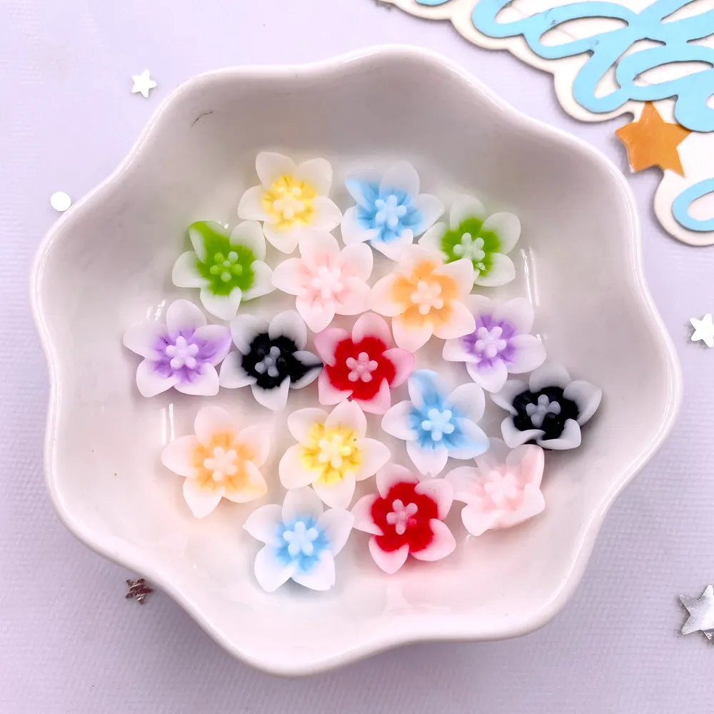 Paradise Jewelry & Watches Dolphin Mall - 50pcs Resin 13mm Colorful 3D Morning