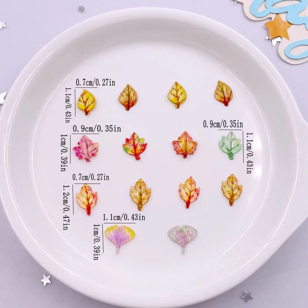 50pcs Mixed Resin Mini Crystal - Paradise Jewelry & Watches Dolphin Mall 评论和价格